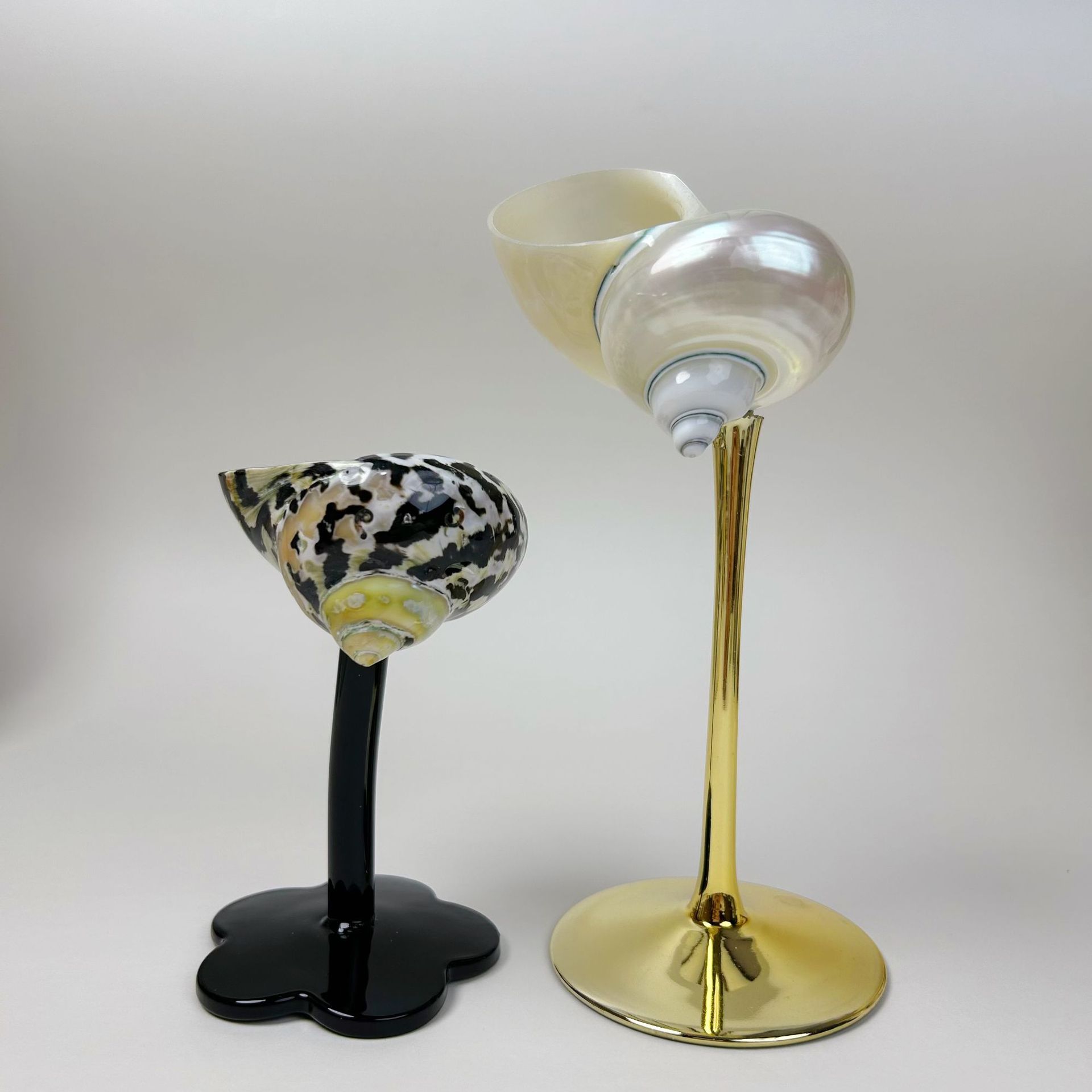 Copa de Vino Decorativa con Forma de Concha Marina