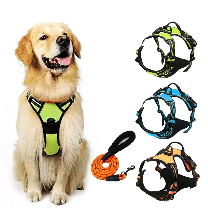 Chaleco reflectante antichoque para perro