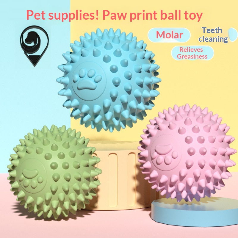 Pelota de juguete para perros