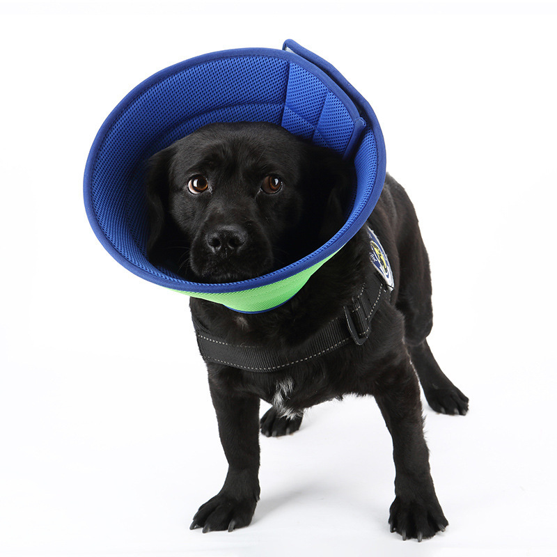 Collar isabelino transparente de recuperación médica para perros y gatos